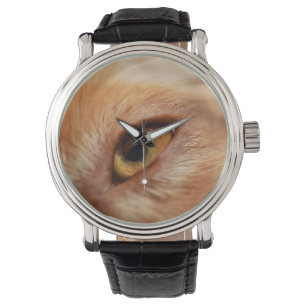 Miniature American Shepherd Red Merle Eye Watch