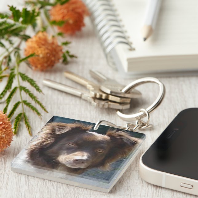 Miniature American Shepherrd Red Tri Key Ring (Front Right)