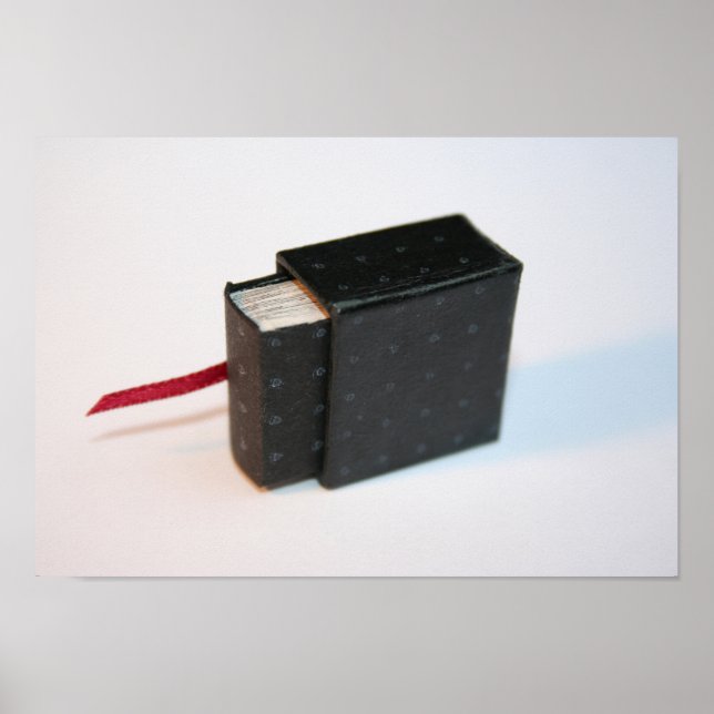 Miniature Artis's Book with its box Poster (Front)