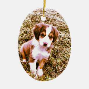 Miniature Australian Shepherd! Mini Aussie Puppy! Ceramic Ornament
