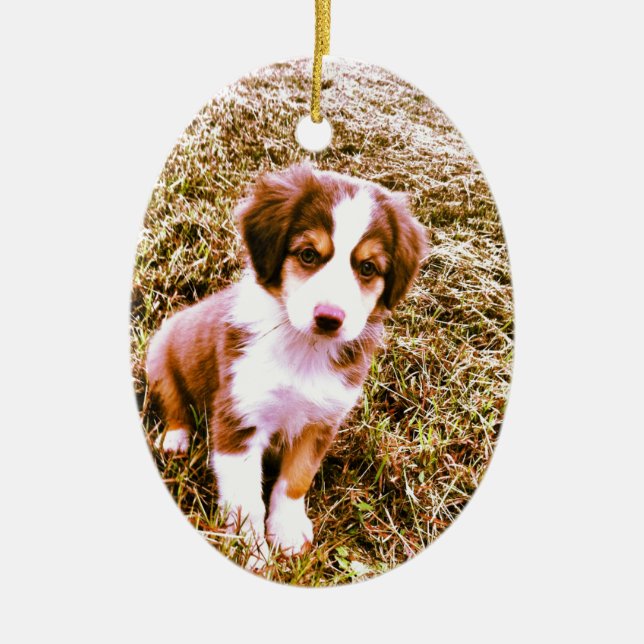 Miniature Australian Shepherd! Mini Aussie Puppy! Ceramic Ornament (Front)
