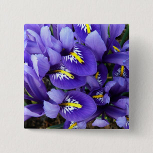 Miniature Blue Irises Spring Floral 15 Cm Square Badge