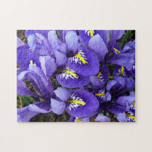 Miniature Blue Irises Spring Floral Jigsaw Puzzle