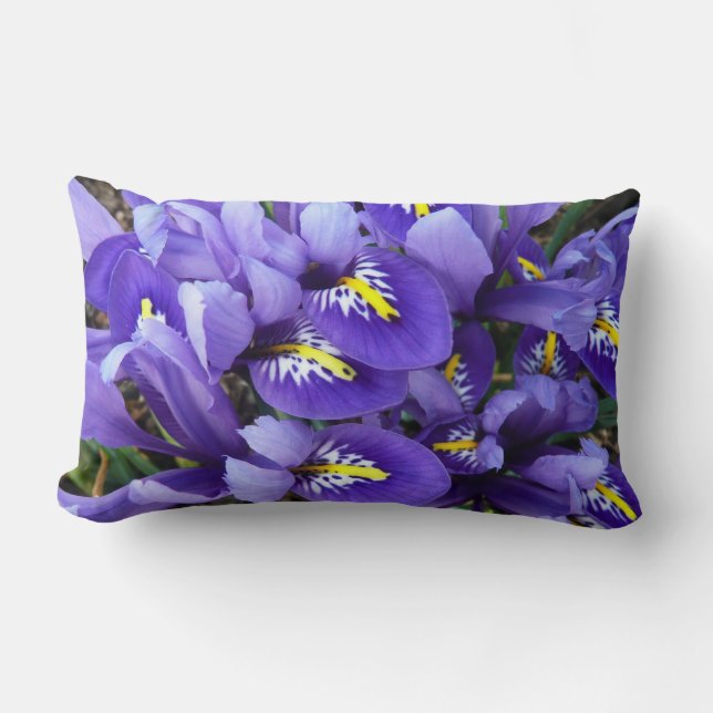 Miniature Blue Irises Spring Floral Lumbar Cushion (Front)