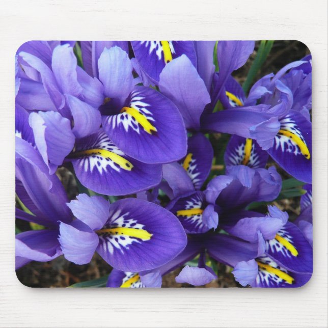 Miniature Blue Irises Spring Floral Mouse Pad (Front)