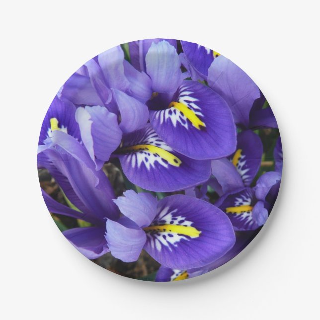 Miniature Blue Irises Spring Floral Paper Plate (Front)