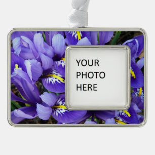 Miniature Blue Irises Spring Floral Silver Plated Framed Ornament