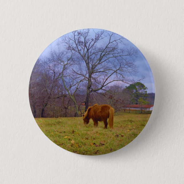 Miniature brown horse blustery sky 6 cm round badge (Front)