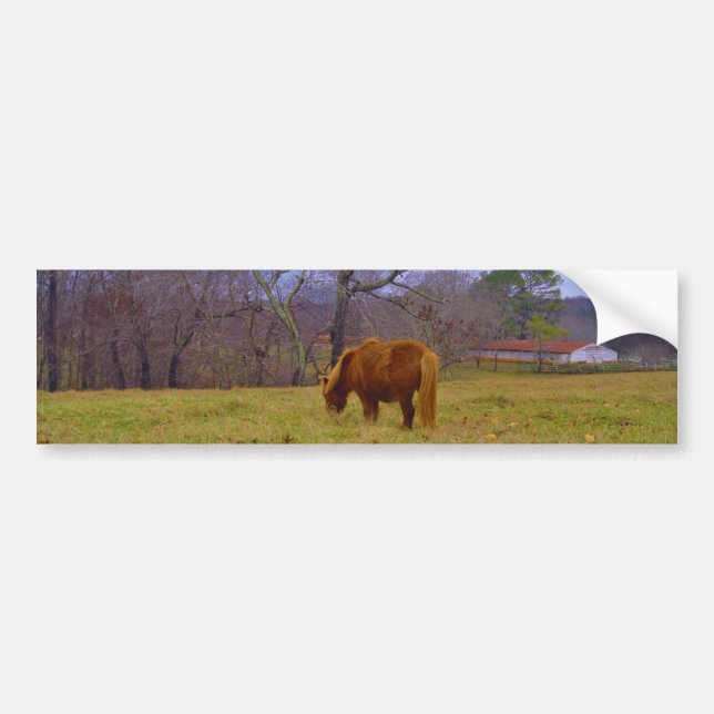 Miniature brown horse blustery sky bumper sticker (Front)