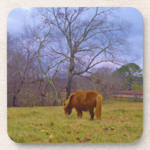 Miniature brown horse blustery sky coaster
