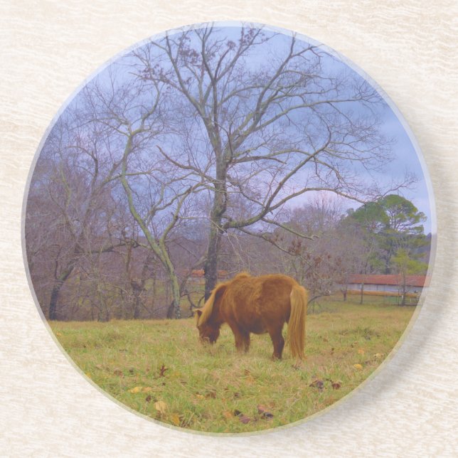 Miniature brown horse blustery sky coaster (Front)