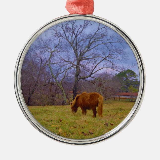 Miniature brown horse blustery sky metal ornament (Front)