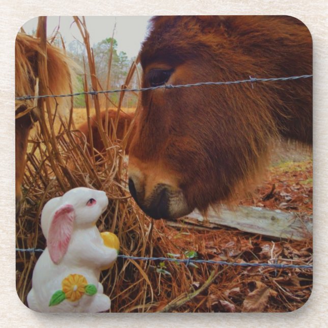 Miniature Brown horse & Easter Bunny Coaster (Front)