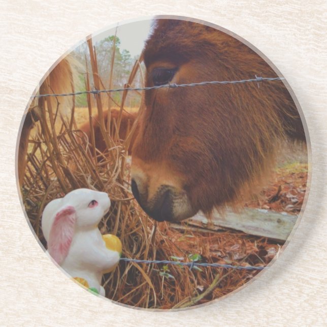 Miniature Brown horse & Easter Bunny Coaster (Front)