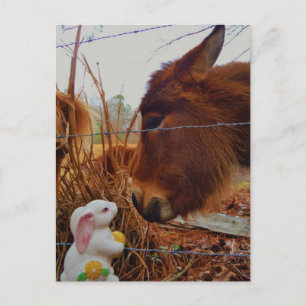 Miniature Brown horse & Easter Bunny Holiday Postcard