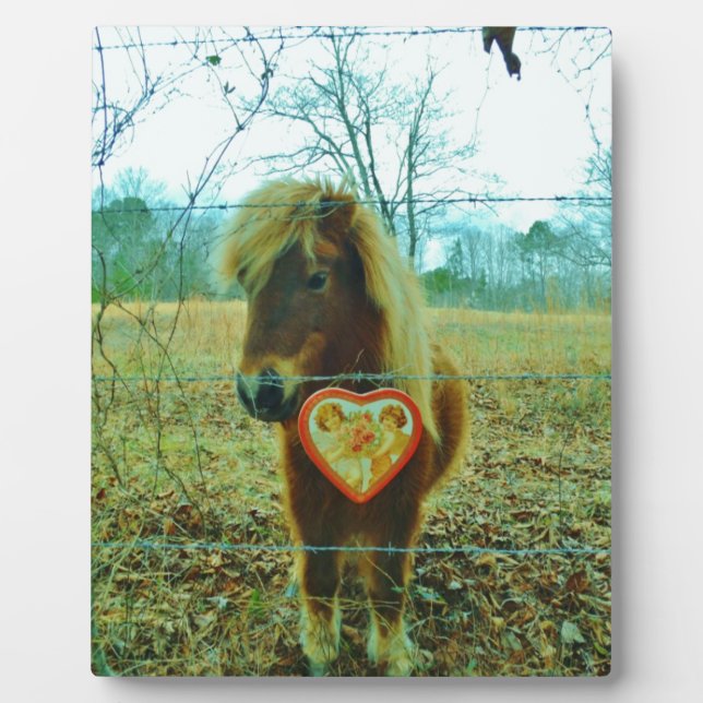 Miniature Brown horse Valentine Heart Plaque (Front)