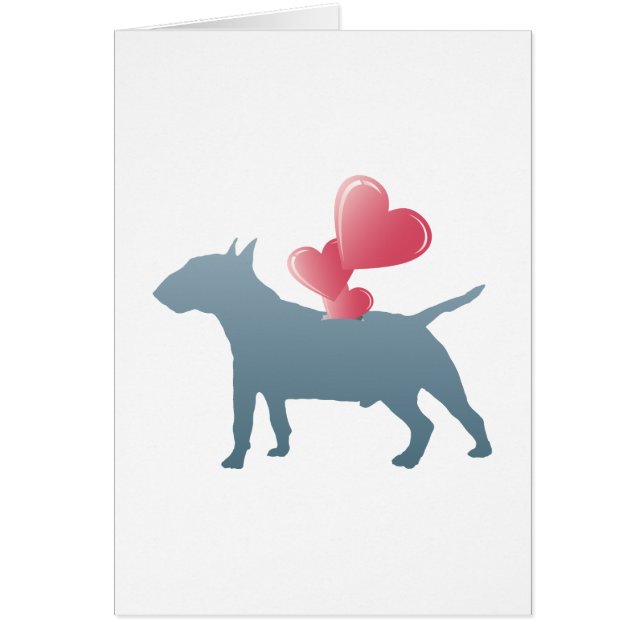 Miniature Bull Terrier (Front)