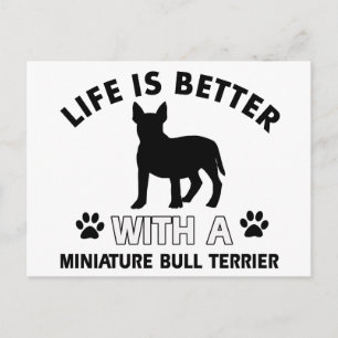 Miniature Bull Terrier designs Postcard