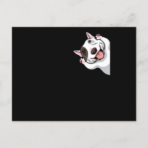Miniature Bull Terrier Dog Funny Postcard