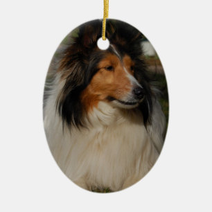 Miniature Collie Ornaemnt Ceramic Ornament