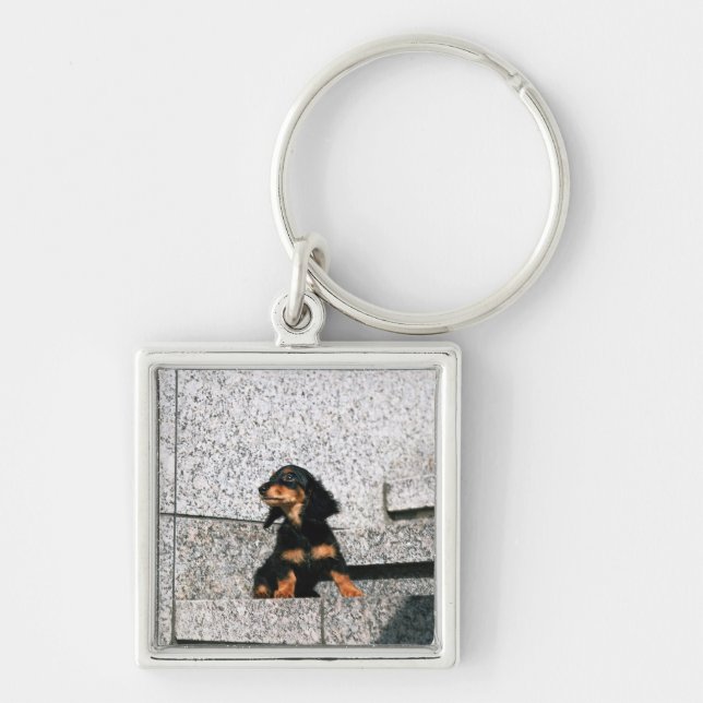 Miniature Dachshund 4 Key Ring (Front)