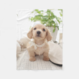 Miniature Dachshund Fleece Blanket