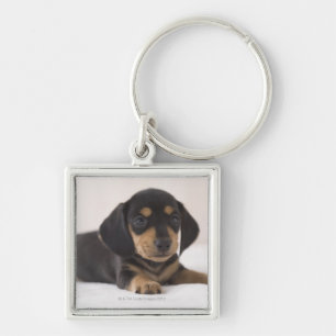 Miniature Dachshund Key Ring