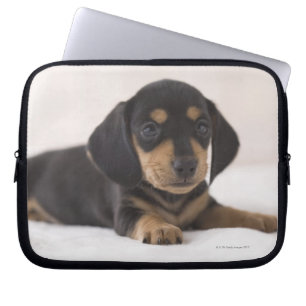 Miniature Dachshund Laptop Sleeve