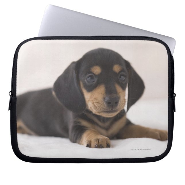 Miniature Dachshund Laptop Sleeve (Front)
