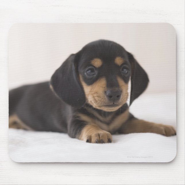 Miniature Dachshund Mouse Pad (Front)