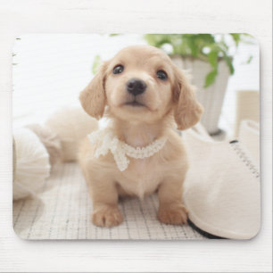 Miniature Dachshund Mouse Pad