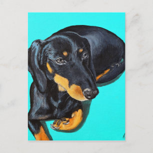 Miniature Dachshund  Painting Postcard