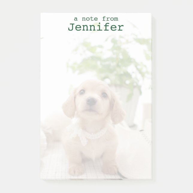 Miniature Dachshund Post-it Notes (Front)