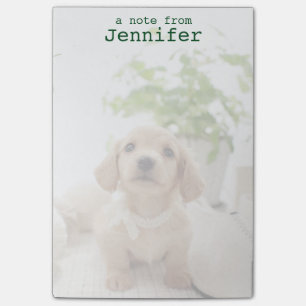 Miniature Dachshund Post-it Notes