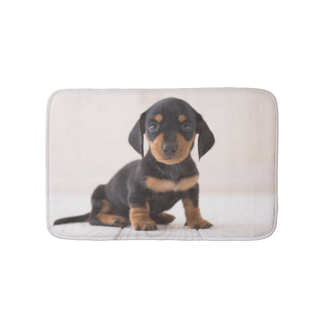 Miniature Dachshund Sitting Bath Mat (Front)