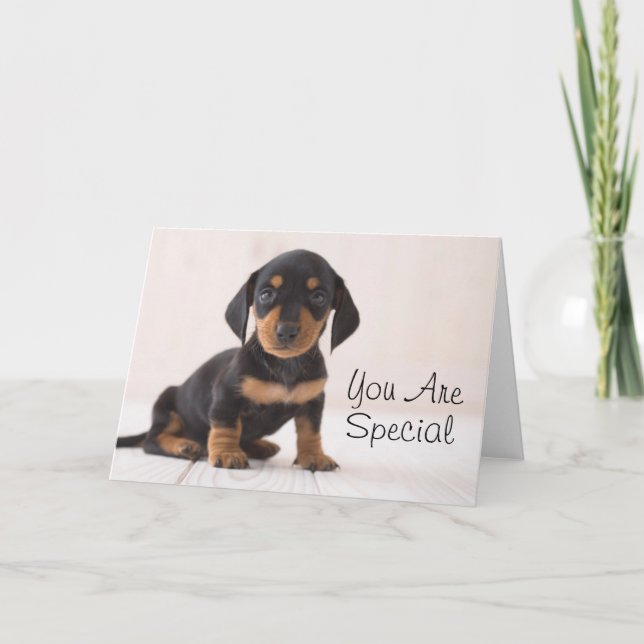 Miniature Dachshund Sitting Card (Front)
