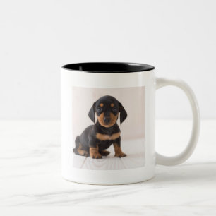Miniature Dachshund Sitting Two-Tone Coffee Mug