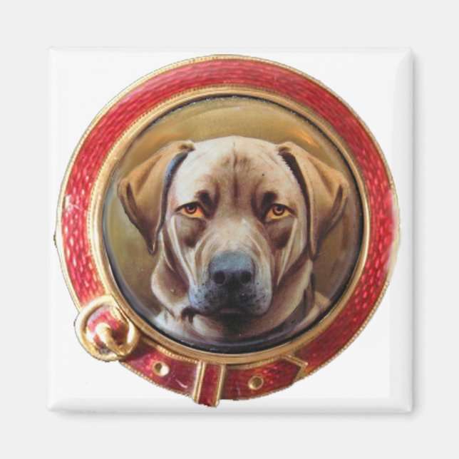 MINIATURE DOG PORTRAITS Chocolate Labrador Magnet (Front)