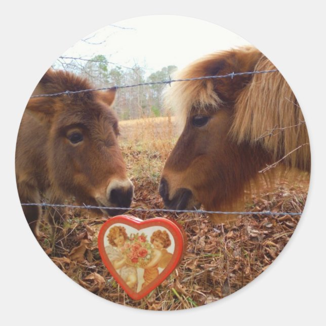Miniature Donkey & Horse Valentine Heart Classic Round Sticker (Front)