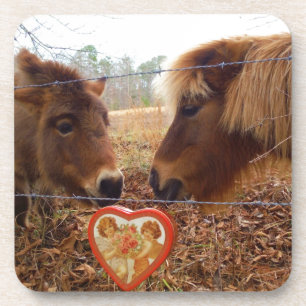 Miniature Donkey & Horse Valentine Heart Coaster