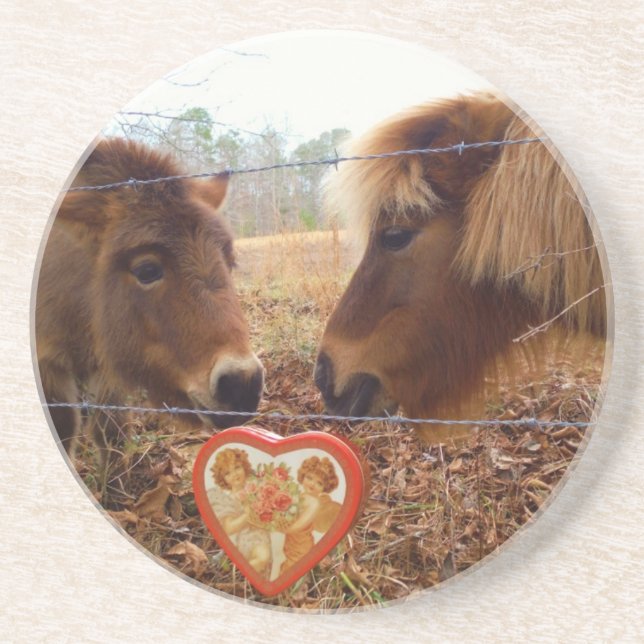 Miniature Donkey & Horse Valentine Heart Coaster (Front)