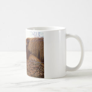 Miniature Donkey & Horse Valentine Heart Coffee Mug