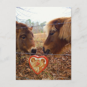 Miniature Donkey & Horse Valentine Heart Holiday Postcard
