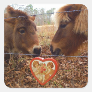 Miniature Donkey & Horse Valentine Heart Square Sticker