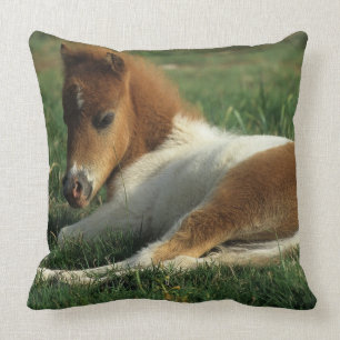 Miniature Foal Laying Down Cushion