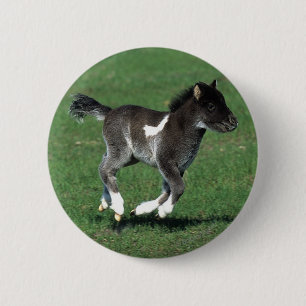 Miniature Foal Running 6 Cm Round Badge