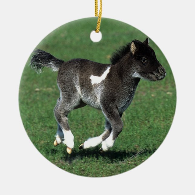Miniature Foal Running Ceramic Tree Decoration (Front)