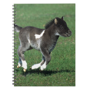 Miniature Foal Running Notebook