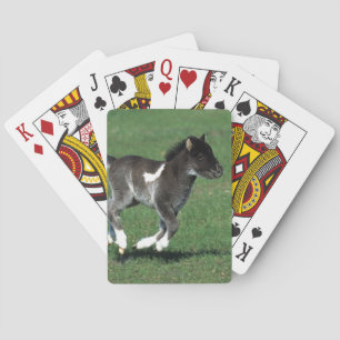 Miniature Foal Running Playing Cards