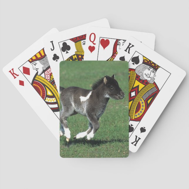 Miniature Foal Running Playing Cards (Back)